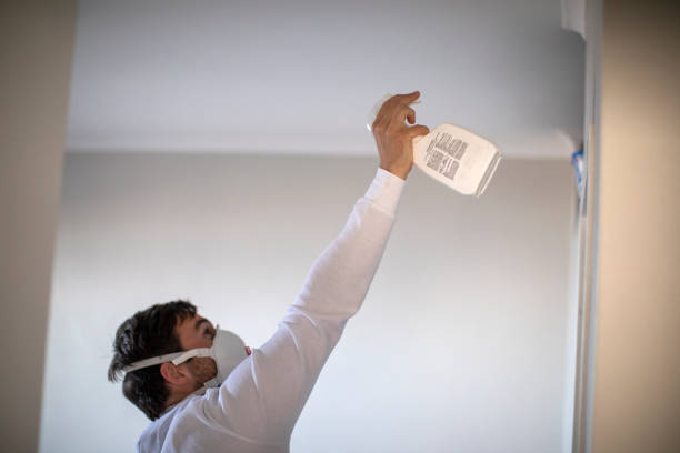 Best Fast Mold Removal  in Lake Cherokee, TX