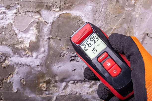 Best Residential Mold Removal  in Lake Cherokee, TX