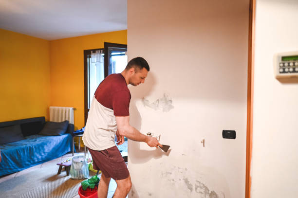 Best Same-Day Mold Removal  in Lake Cherokee, TX